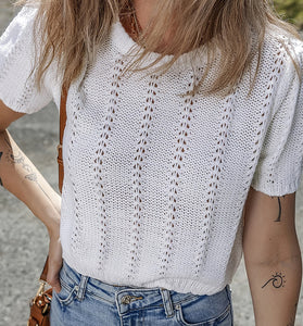 Trendy Crochet Knit Short Sleeve Top