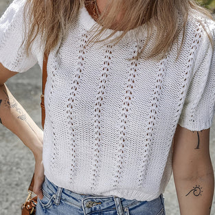 Trendy Crochet Knit Short Sleeve Top