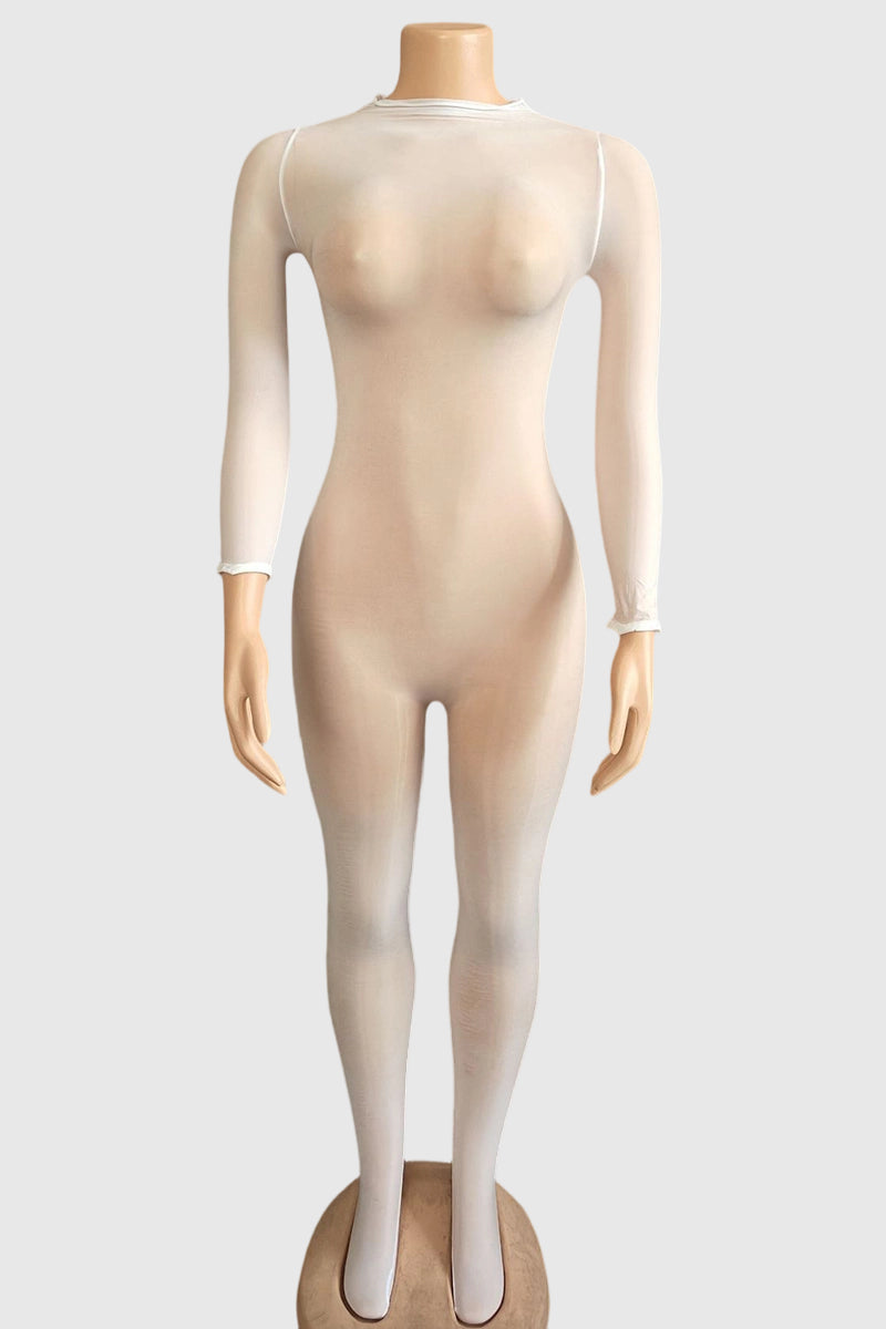 Sheer Long Sleeve Bodycon Jumpsuit