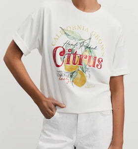 Citrus Graphic Oversized T-Shirt