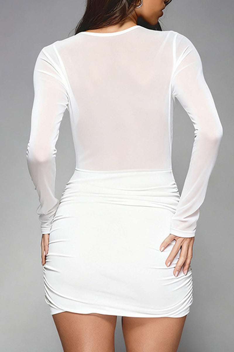 Sheer Long Sleeve Bodycon Casual Dress