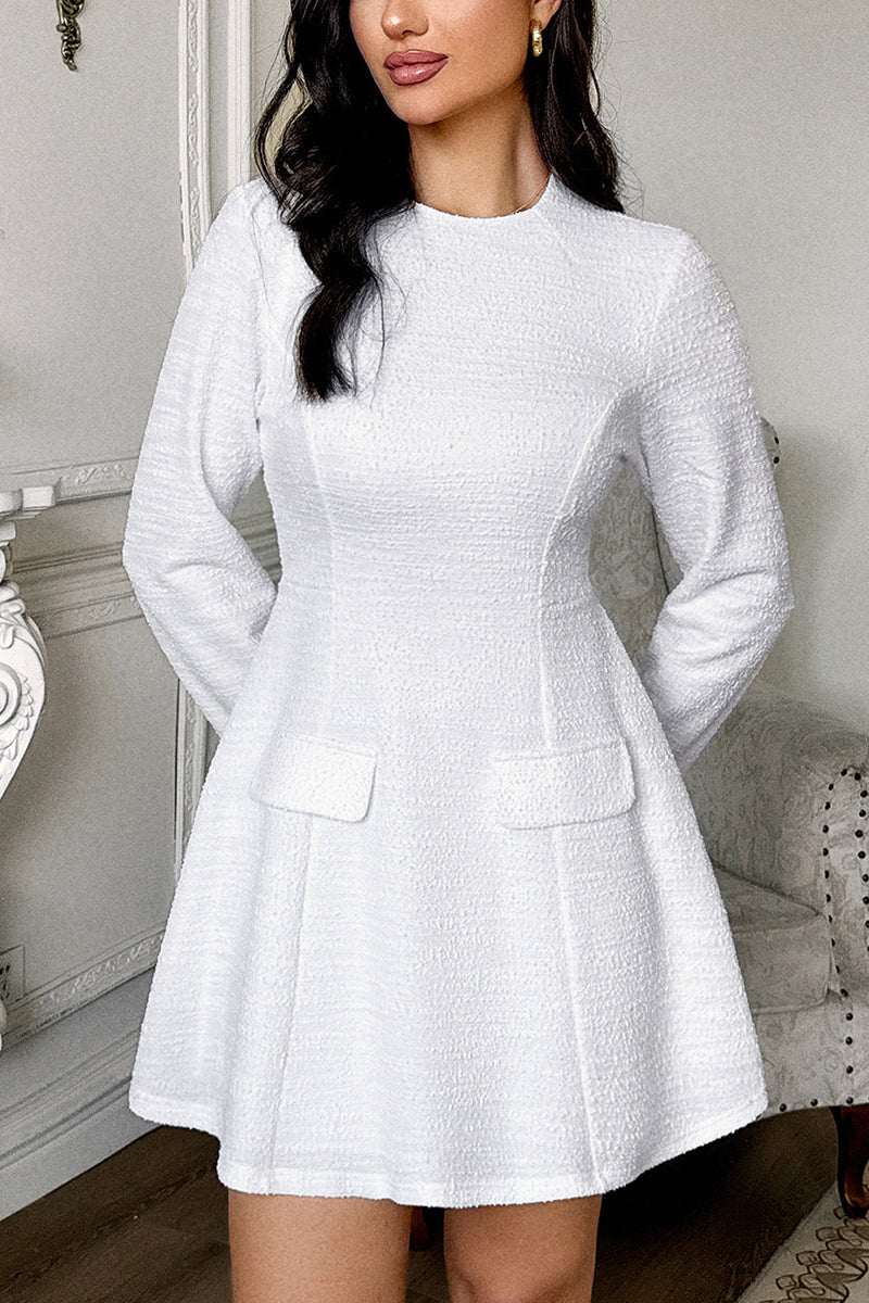 Elegant Long Sleeve A-Line Dress