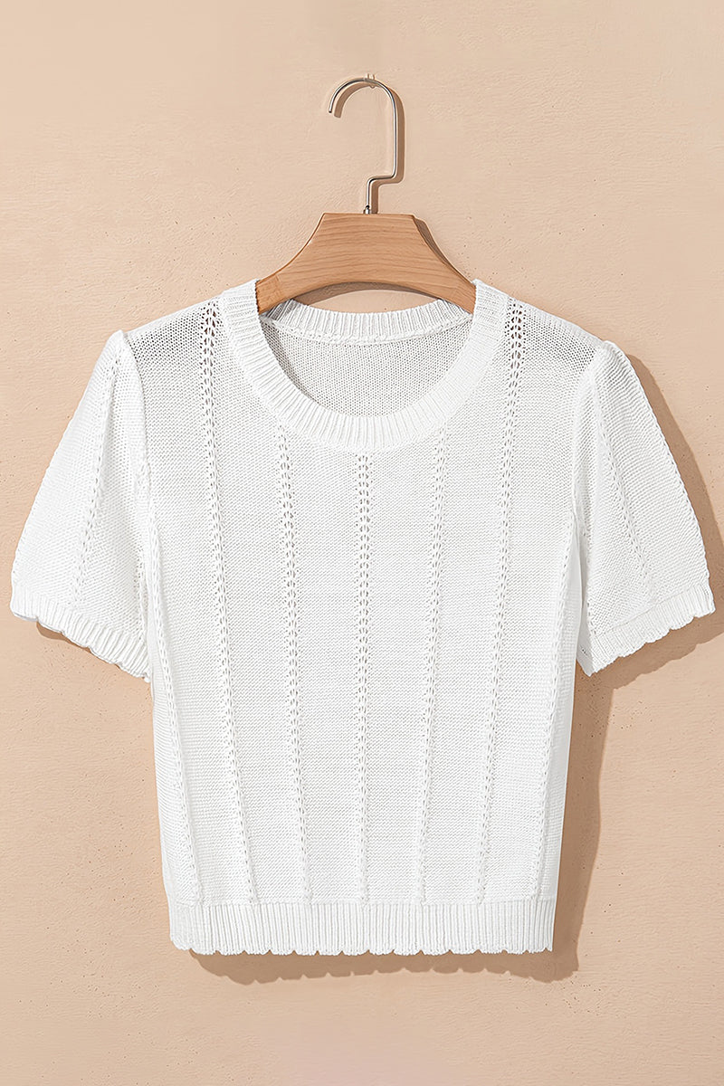 Trendy Crochet Knit Short Sleeve Top