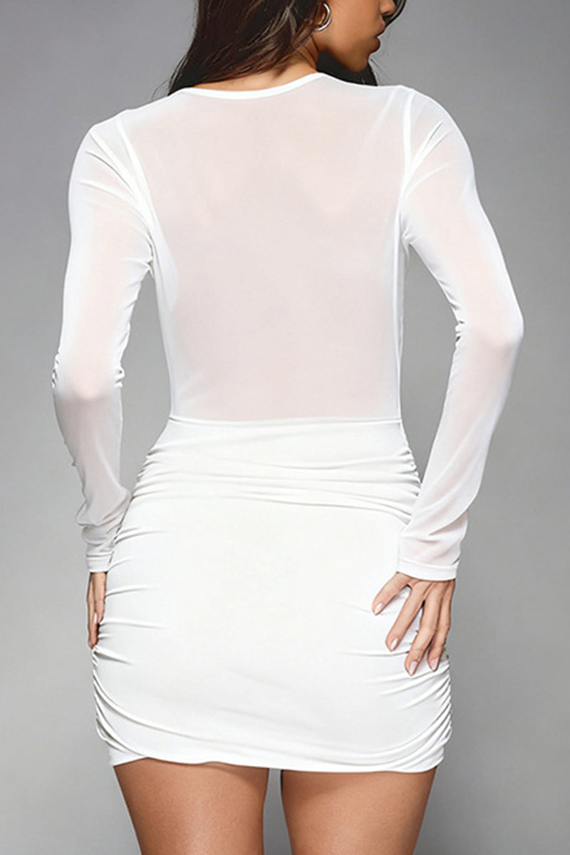 Sheer Long Sleeve Bodycon Casual Dress