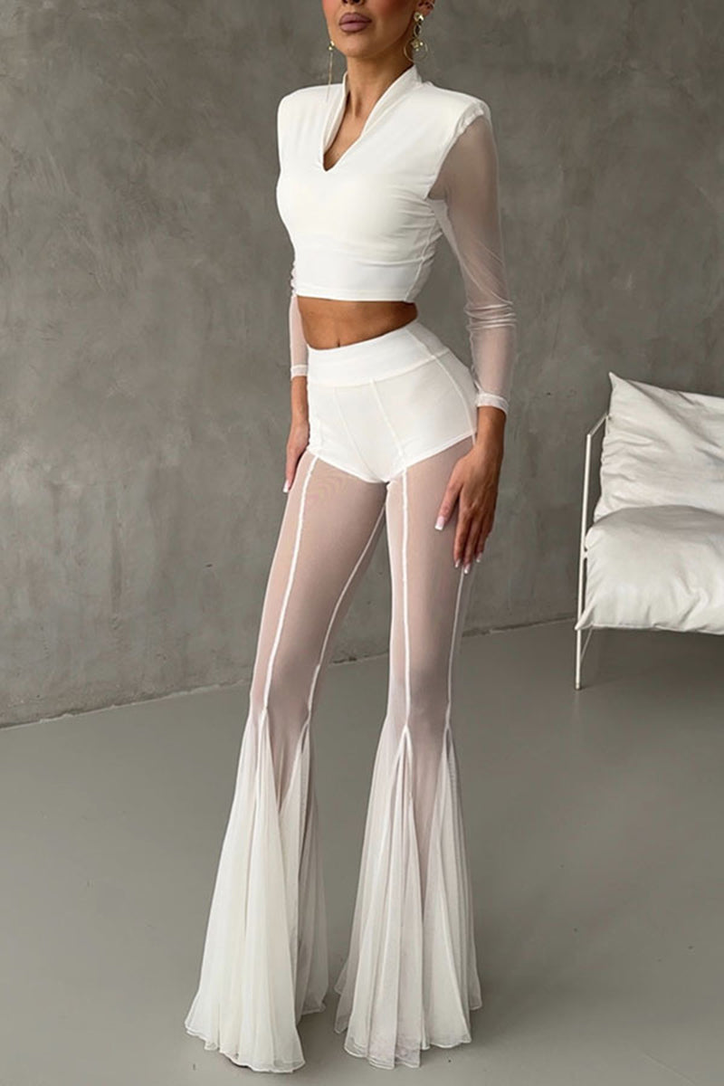 Elegant Sheer Flared Casual Pants