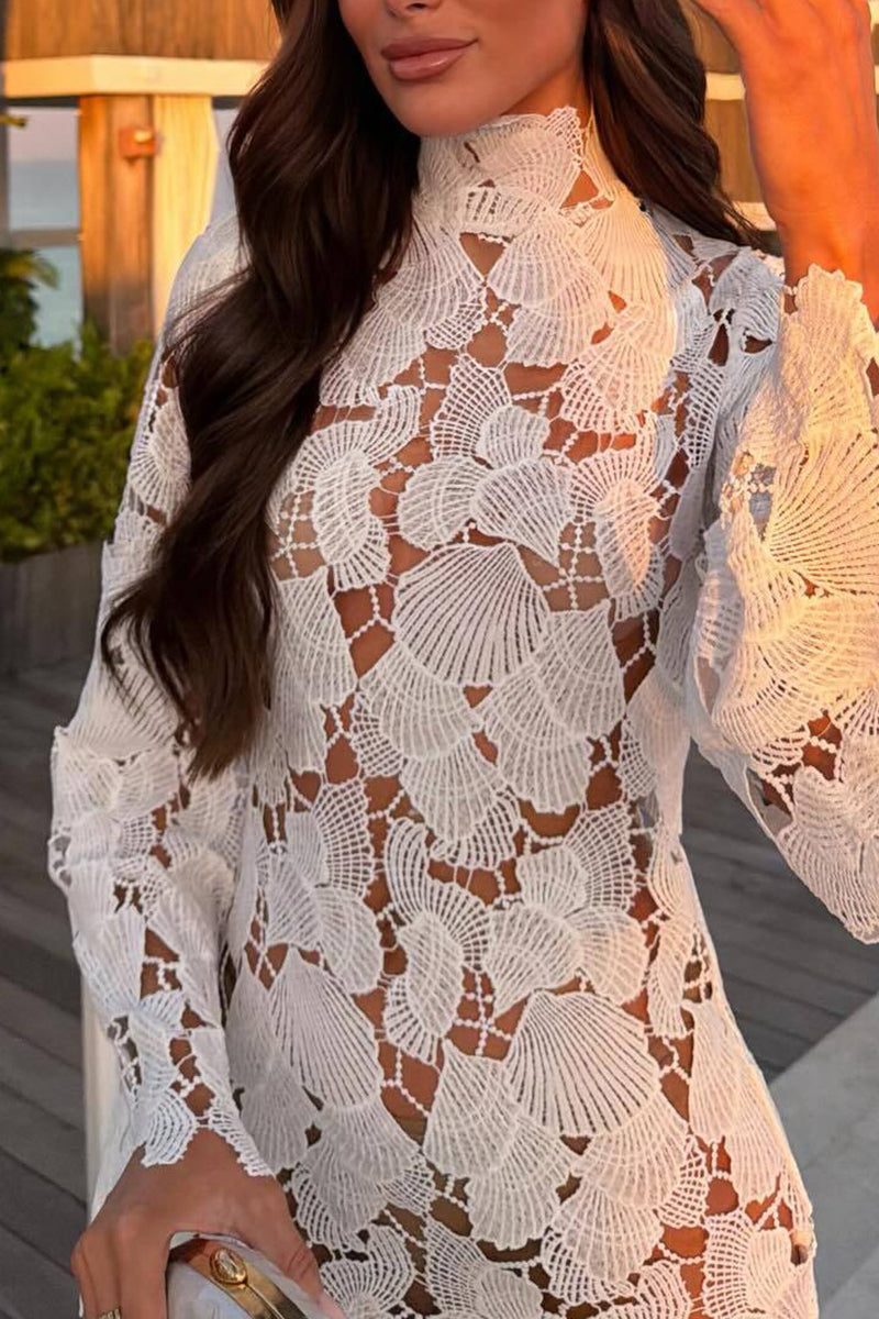 Elegant Lace High-Neck Casual Dress