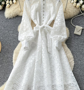 Elegant Long Sleeve Tie Waist Dress