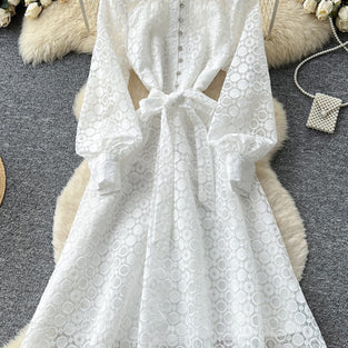 Elegant Long Sleeve Tie Waist Dress