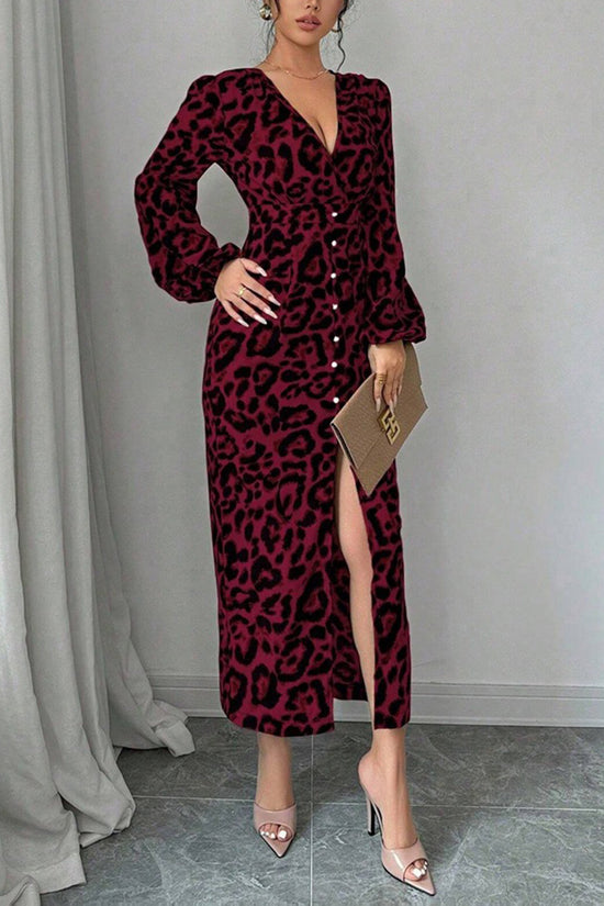 Chic Leopard Print Long Sleeve Dress