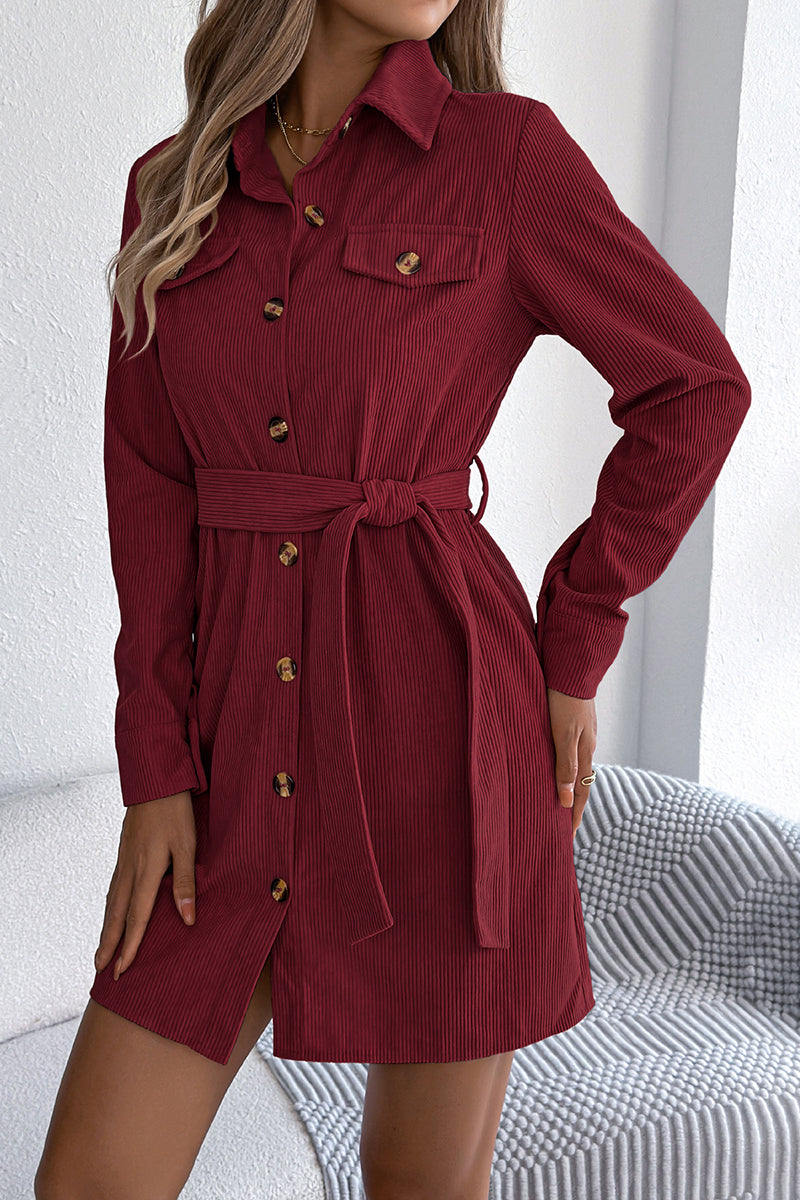 Button-Down Belted Casual Shirt Dress