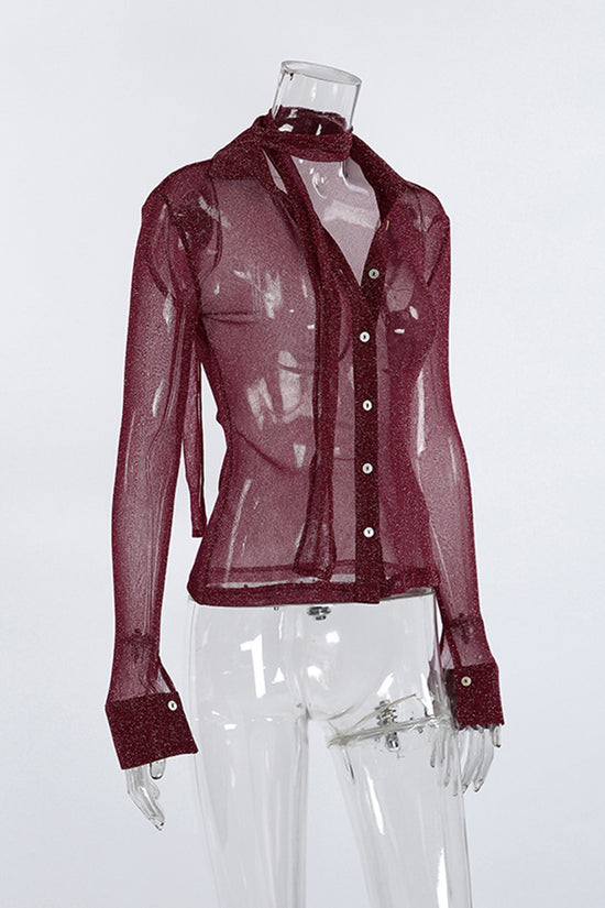 Shimmering Sheer Button-Up Blouse
