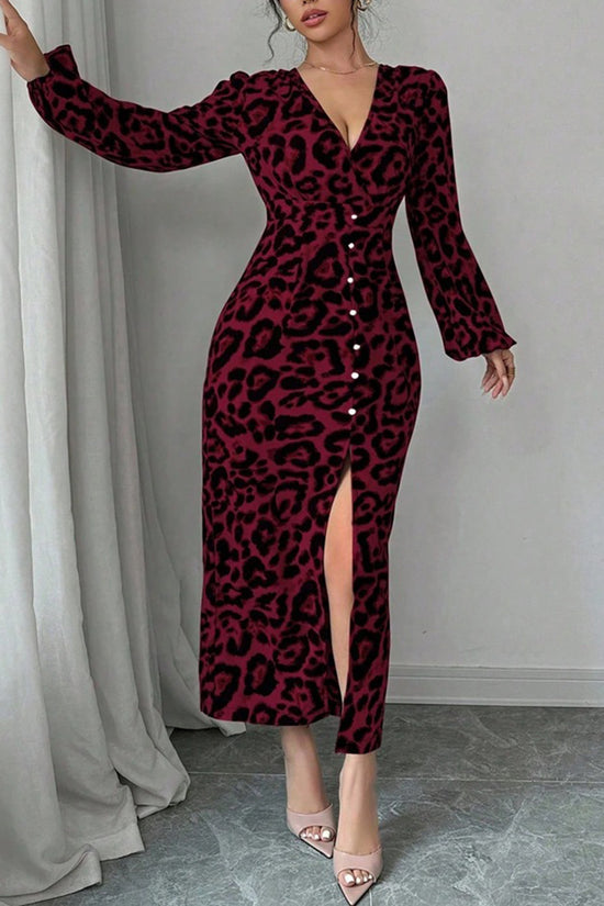 Chic Leopard Print Long Sleeve Dress