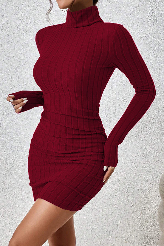 Turtleneck Ribbed Long Sleeve Mini Dress
