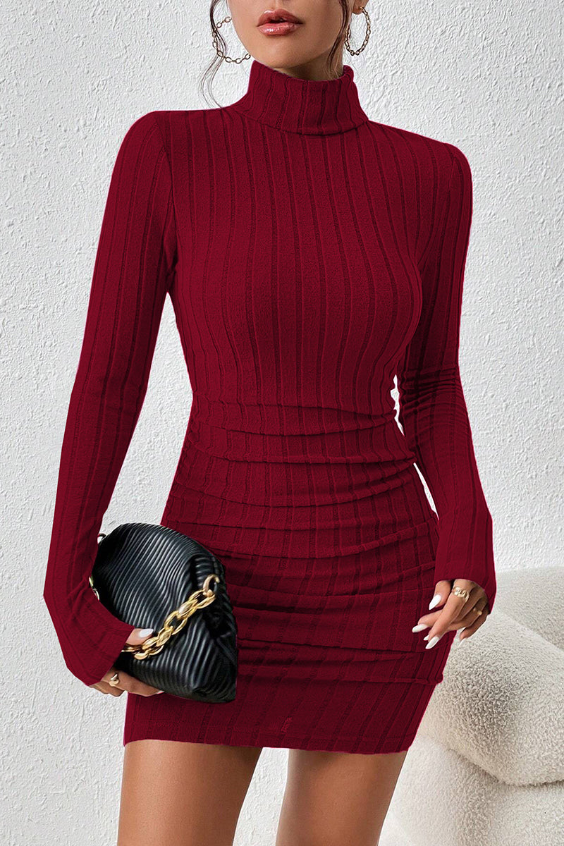 Turtleneck Ribbed Long Sleeve Mini Dress