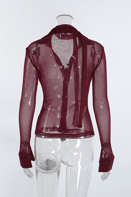 Shimmering Sheer Button-Up Blouse