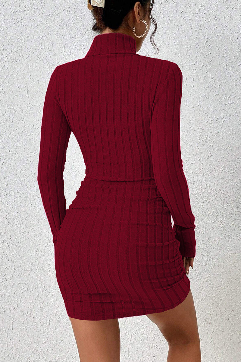 Turtleneck Ribbed Long Sleeve Mini Dress