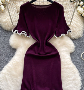 Elegant Ruffle Trim Casual Dress