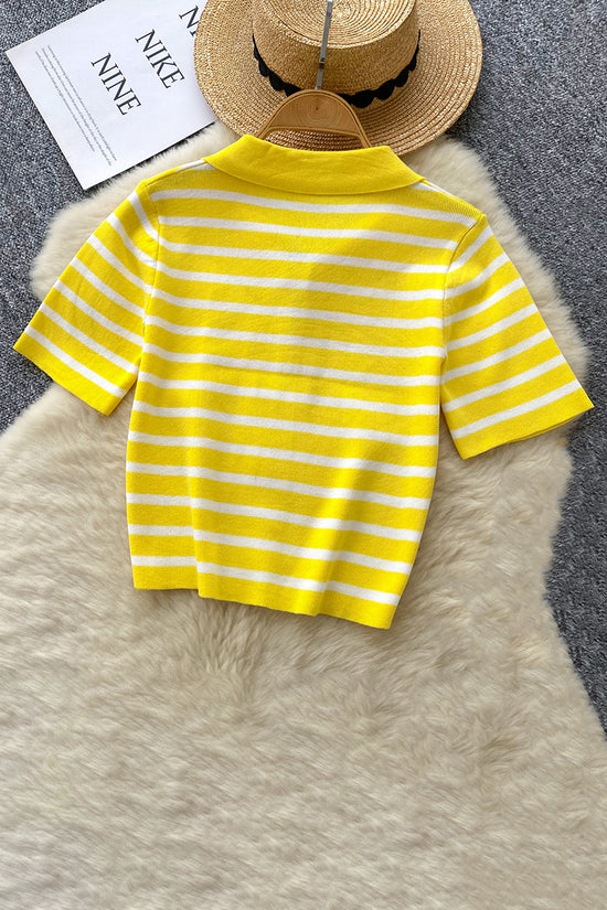 Striped Polo Zipper T-Shirt