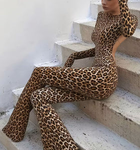 LEOPARD (1).jpg