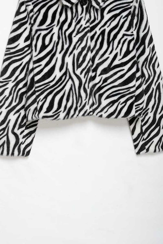 ZEBRA (3).jpg
