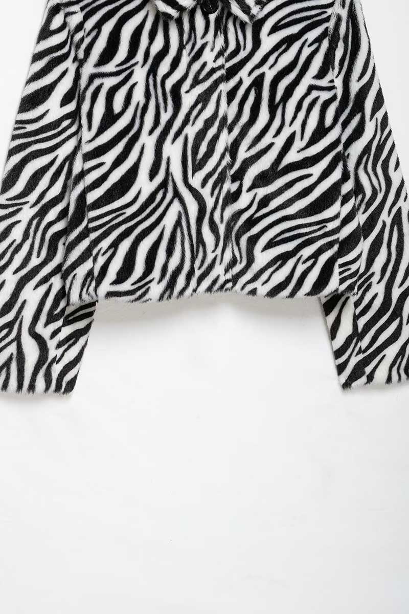 ZEBRA (3).jpg