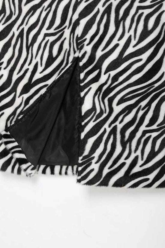 ZEBRA (3).jpg