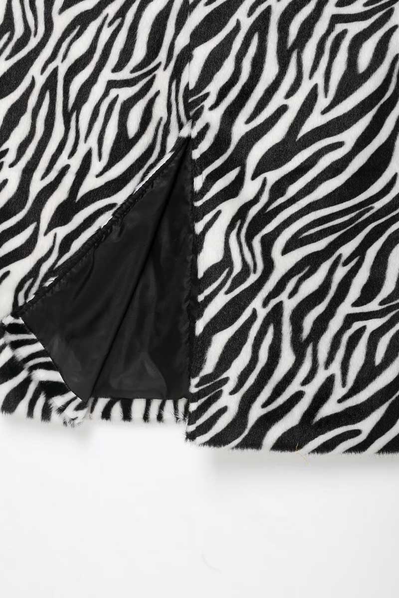 ZEBRA (3).jpg