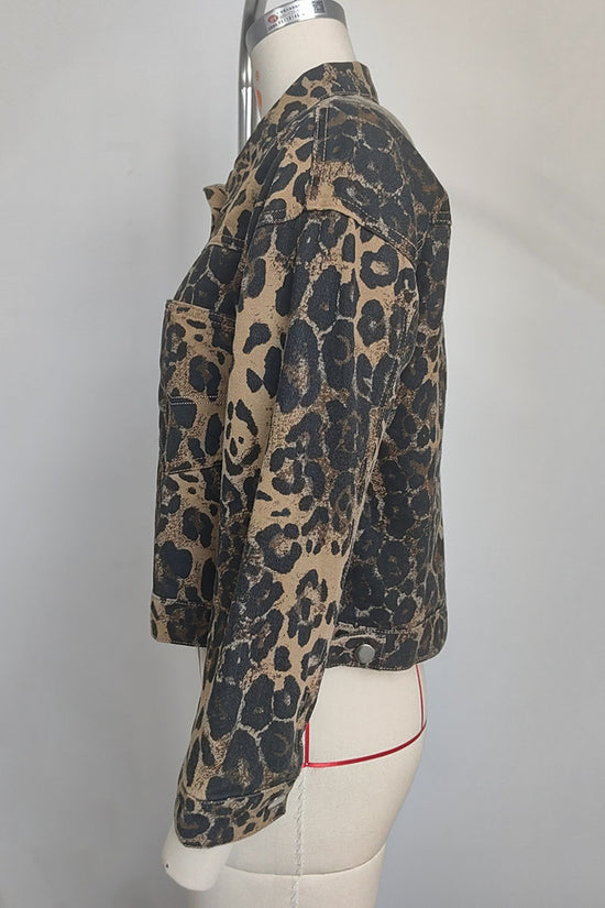 LEOPARD (5).jpg