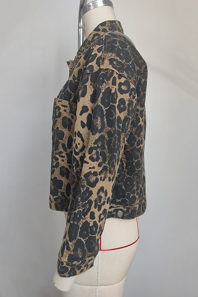 LEOPARD (5).jpg