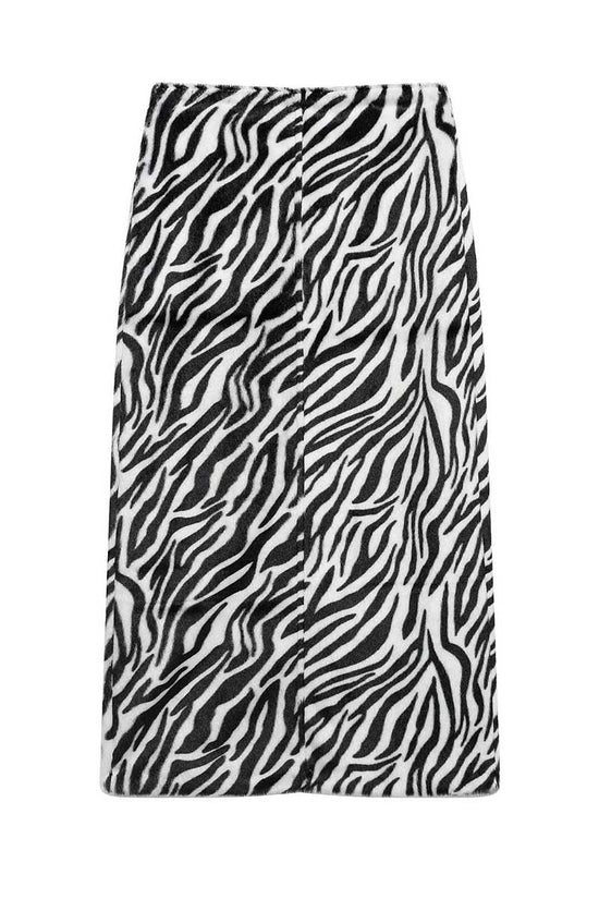 ZEBRA (4).jpg