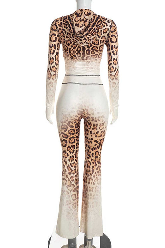 LEOPARD (5).jpg
