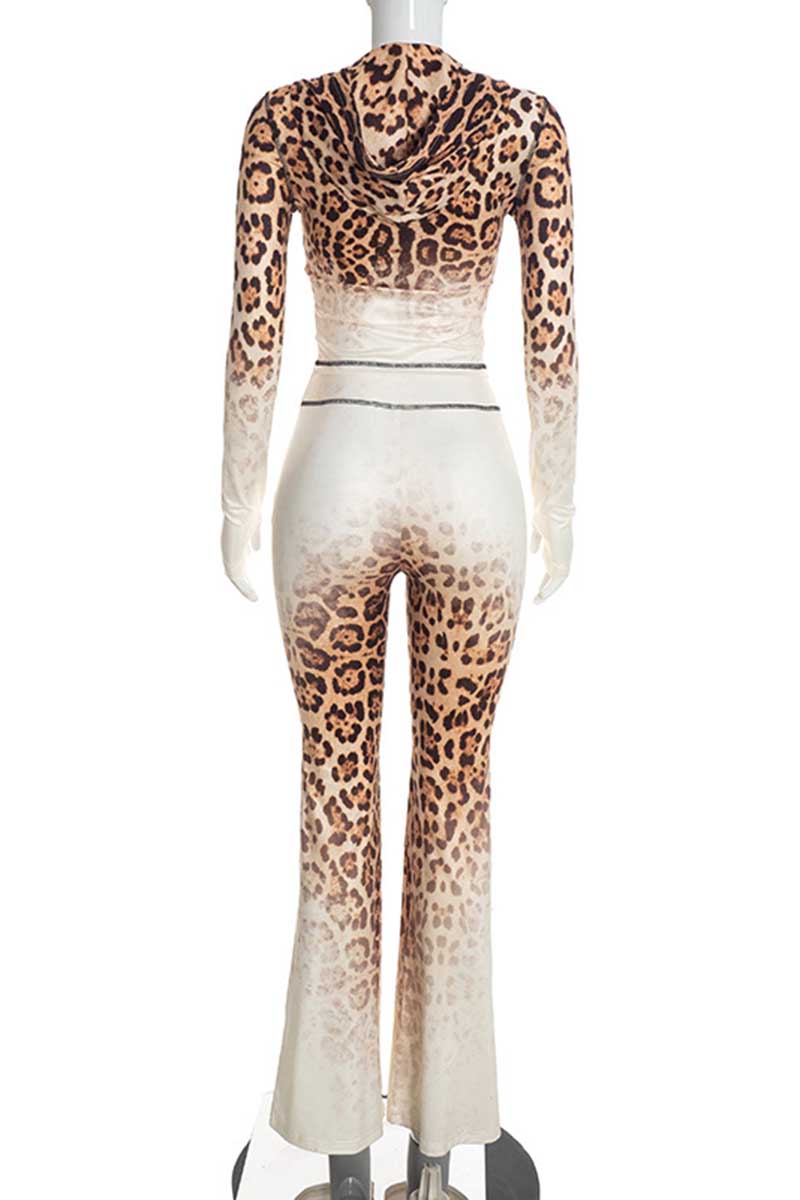 LEOPARD (5).jpg