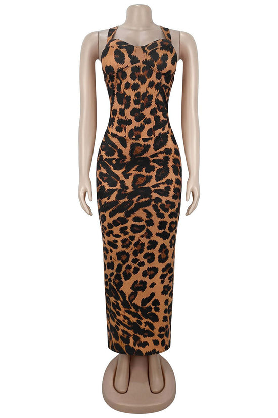 LEOPARD (6).jpg