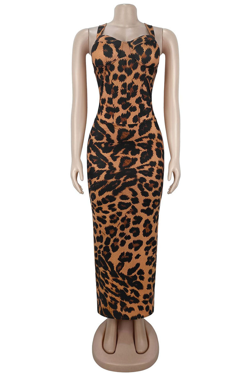 LEOPARD (6).jpg
