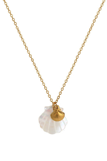 seashells